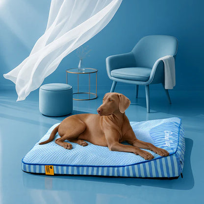 CoolNest | Kühlendes und orthopädisches Hundebett
