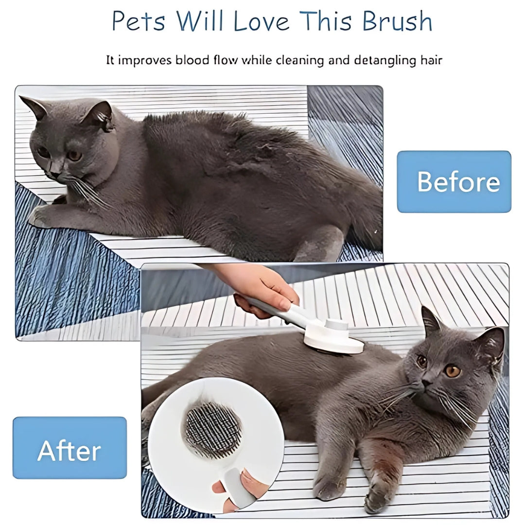 CatBrush | Selbstreinigende Katzenbürste für glänzendes & gesundes Fell