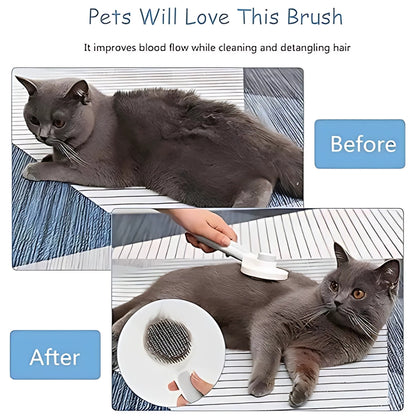 CatBrush | Selbstreinigende Katzenbürste für glänzendes & gesundes Fell