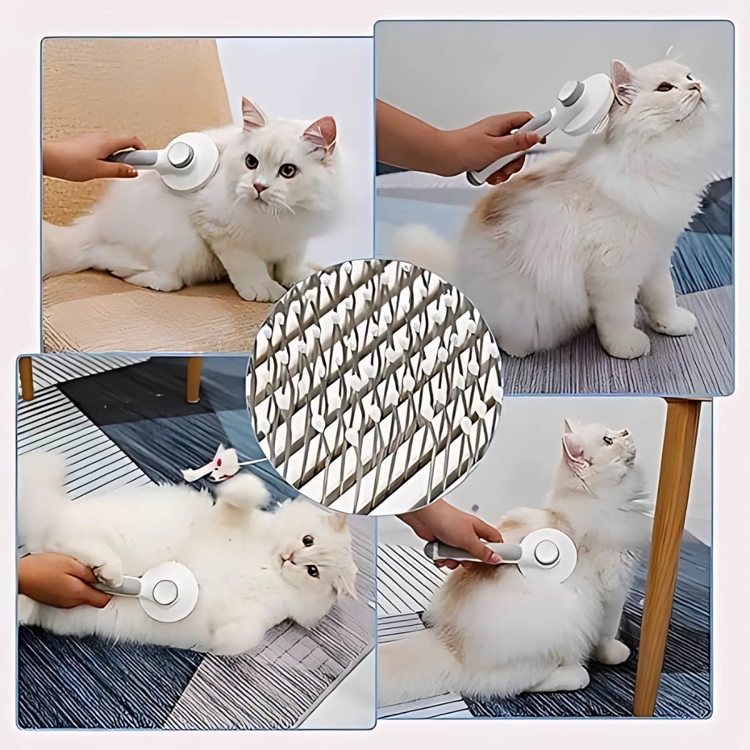 CatBrush | Selbstreinigende Katzenbürste für glänzendes & gesundes Fell