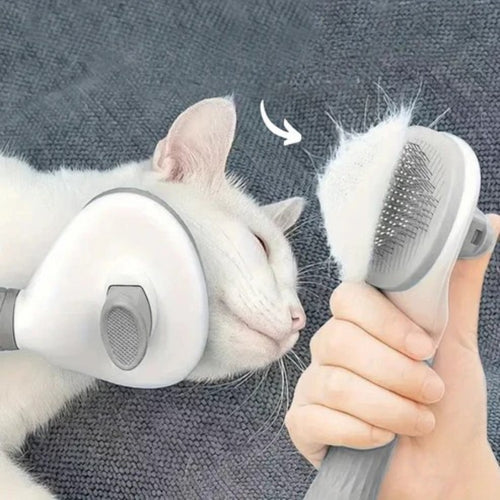 CatBrush | Selbstreinigende Katzenbürste für glänzendes & gesundes Fell