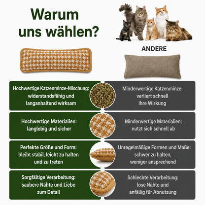PurrPillow | Mehr Spielspaß, weniger Möbelkratzen