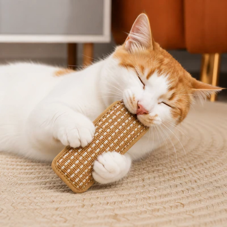 PurrPillow | Mehr Spielspaß, weniger Möbelkratzen