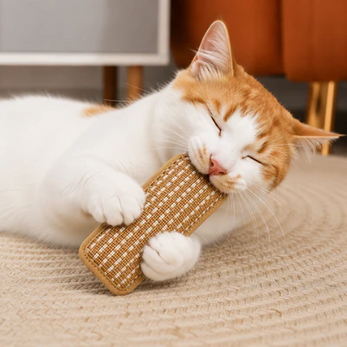 PurrPillow | Mehr Spielspaß, weniger Möbelkratzen