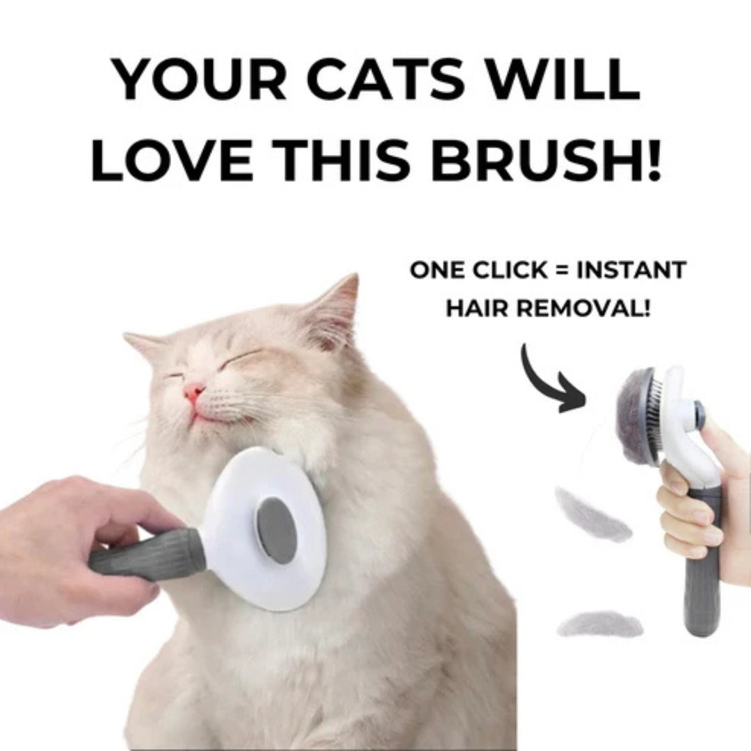 CatBrush | Selbstreinigende Katzenbürste für glänzendes & gesundes Fell