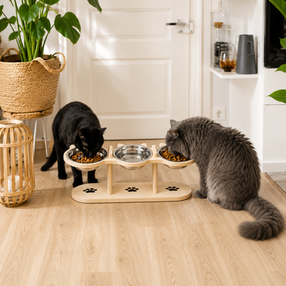 PawDining | Bequemes Essen ohne Nackenverspannungen