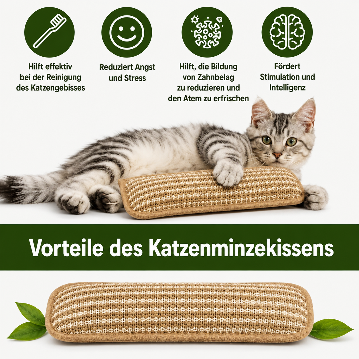 PurrPillow | Mehr Spielspaß, weniger Möbelkratzen