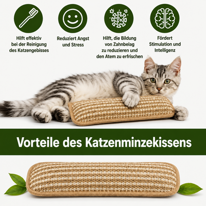 PurrPillow | Mehr Spielspaß, weniger Möbelkratzen