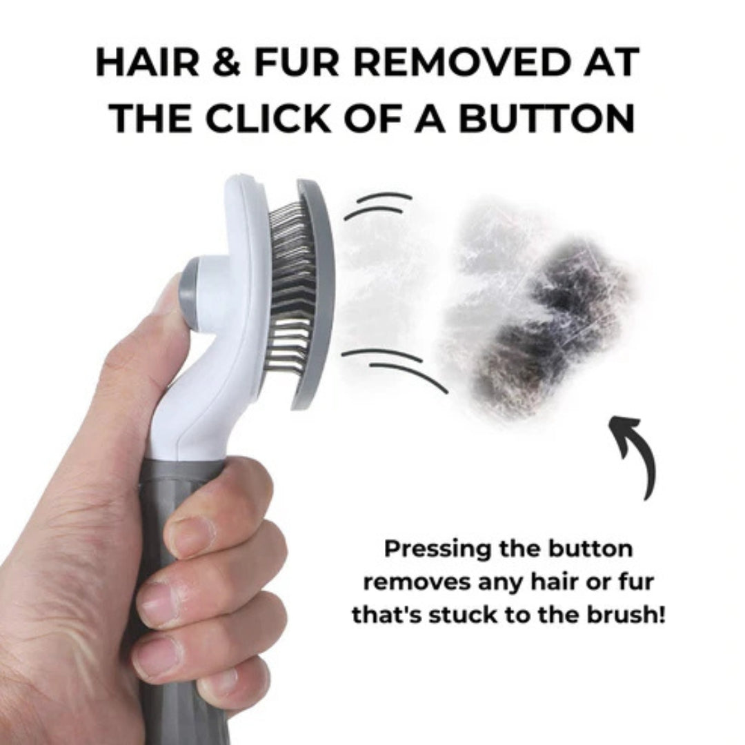 CatBrush | Selbstreinigende Katzenbürste für glänzendes & gesundes Fell