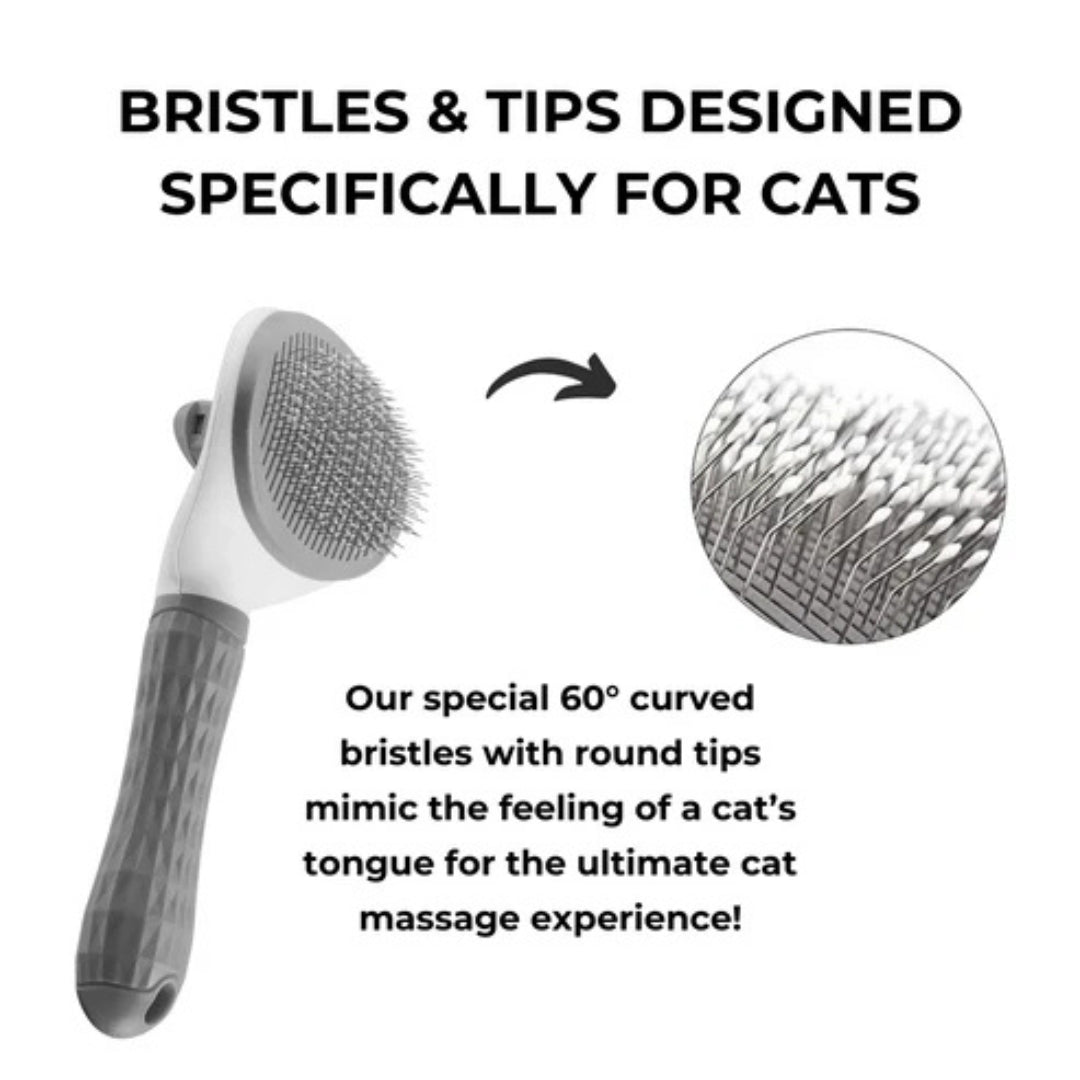 CatBrush | Selbstreinigende Katzenbürste für glänzendes & gesundes Fell