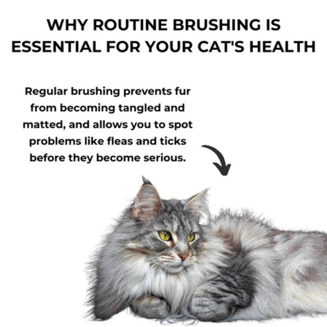 CatBrush | Selbstreinigende Katzenbürste für glänzendes & gesundes Fell