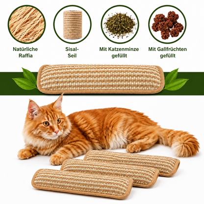 PurrPillow | Mehr Spielspaß, weniger Möbelkratzen