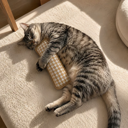 PurrPillow | Mehr Spielspaß, weniger Möbelkratzen