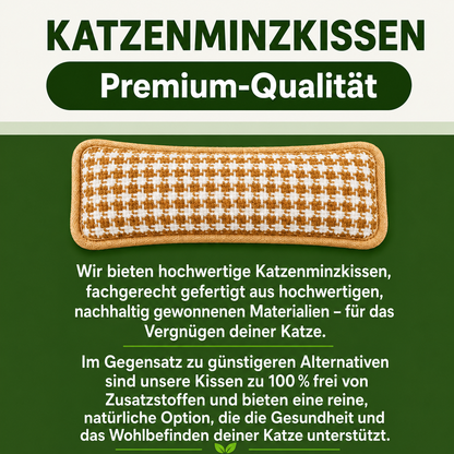 PurrPillow | Mehr Spielspaß, weniger Möbelkratzen