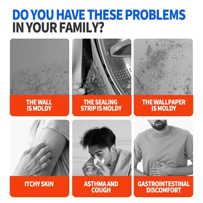 FreshWall | Langanhaltende Schimmelbeseitigung mit Tiefenwirkung