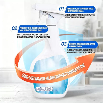 FreshWall | Langanhaltende Schimmelbeseitigung mit Tiefenwirkung