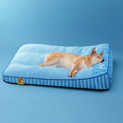CoolNest | Kühlendes und orthopädisches Hundebett