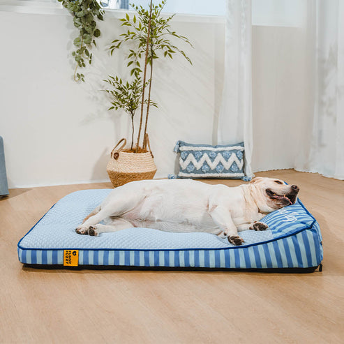 CoolNest | Kühlendes und orthopädisches Hundebett