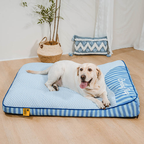 CoolNest | Kühlendes und orthopädisches Hundebett