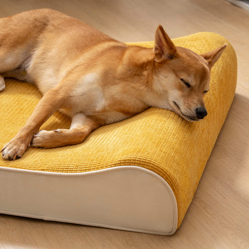 CoolNest | Kühlendes und orthopädisches Hundebett