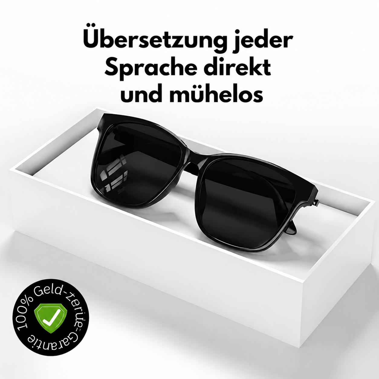 TalkView | Echtzeit-Übersetzung im Ohr