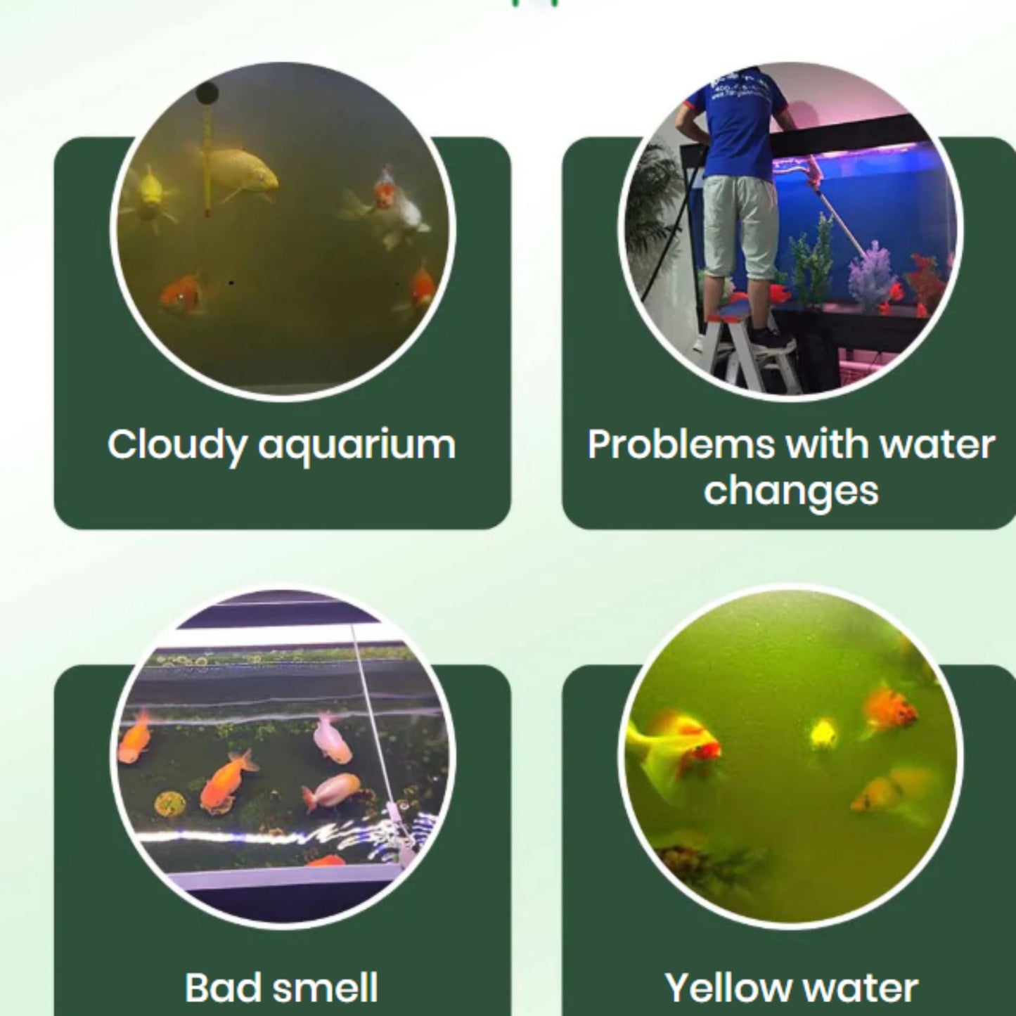 AquaPure Tabs | Kristallklares Aquariumwasser ohne Aufwand