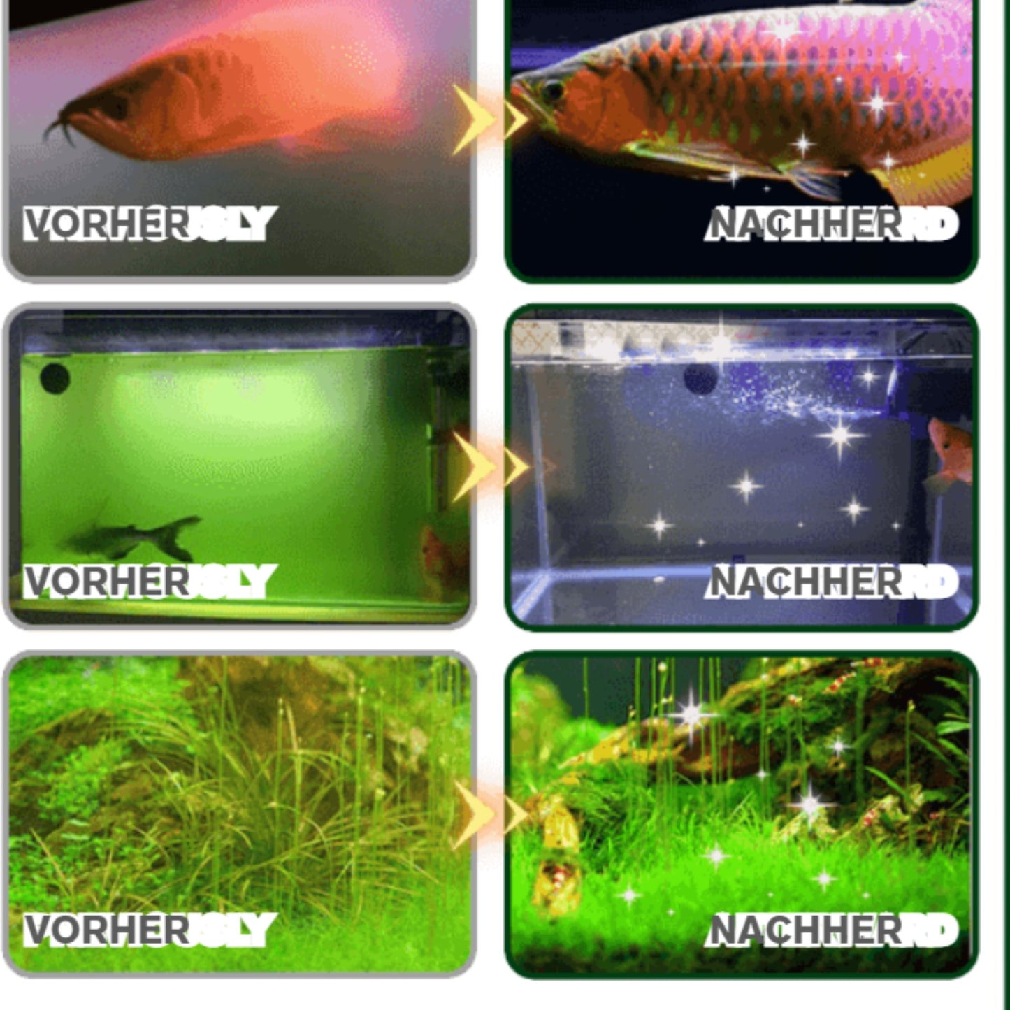 AquaPure Tabs | Kristallklares Aquariumwasser ohne Aufwand