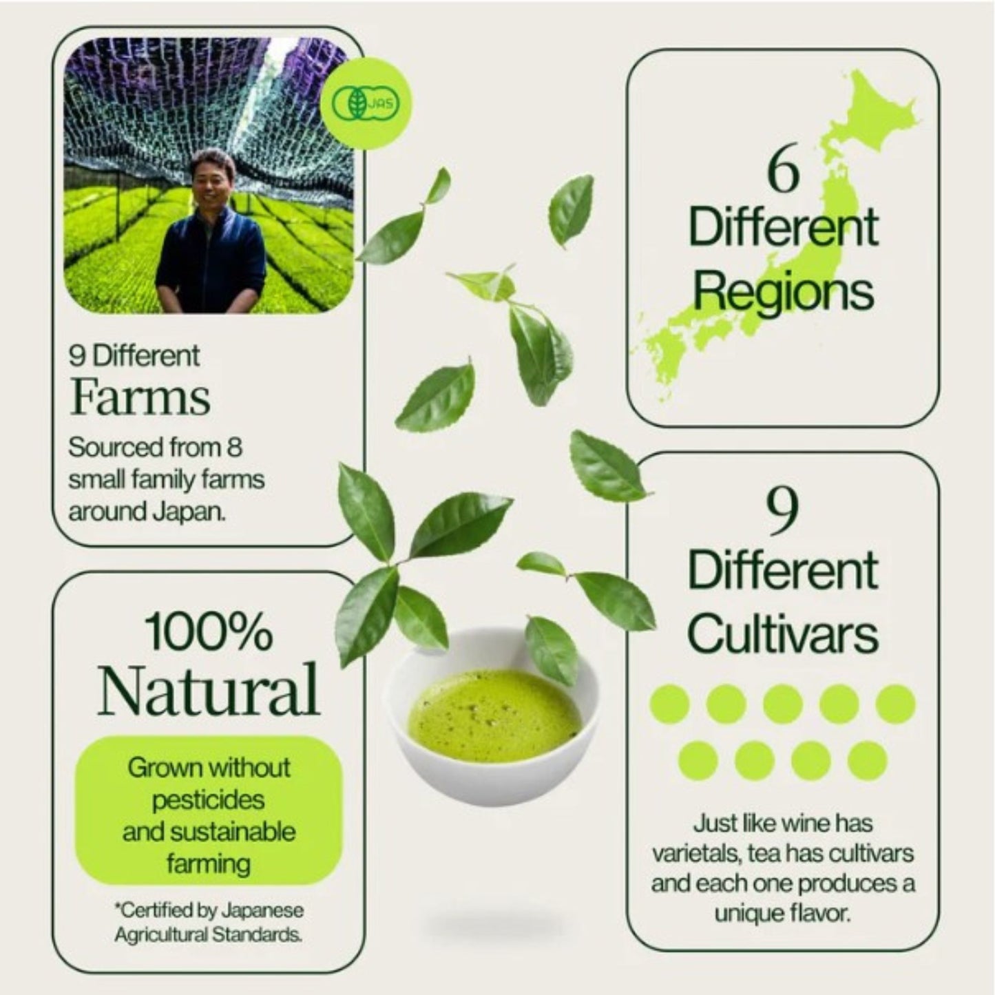 Matcha Moments | Exklusiver Adventskalender für wahre Teeliebhaber