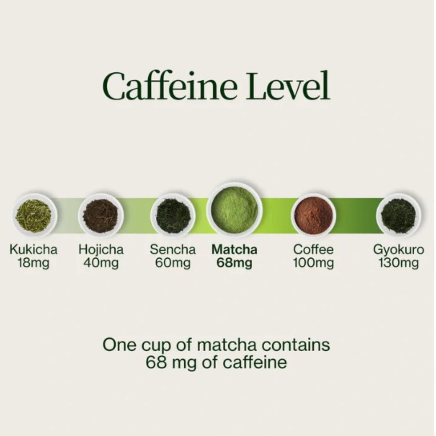 Matcha Moments | Exklusiver Adventskalender für wahre Teeliebhaber