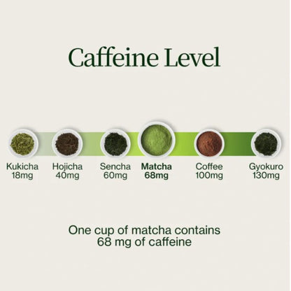 Matcha Moments | Exklusiver Adventskalender für wahre Teeliebhaber