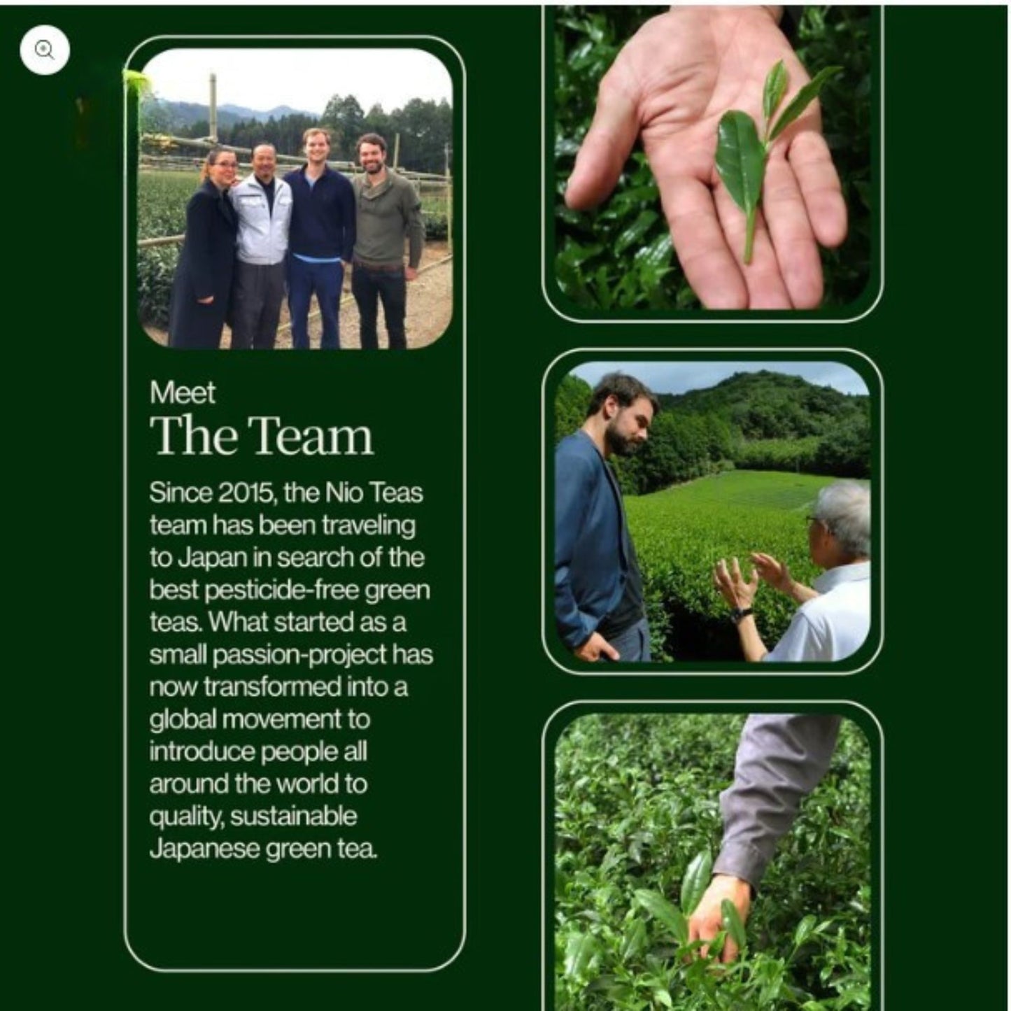 Matcha Moments | Exklusiver Adventskalender für wahre Teeliebhaber